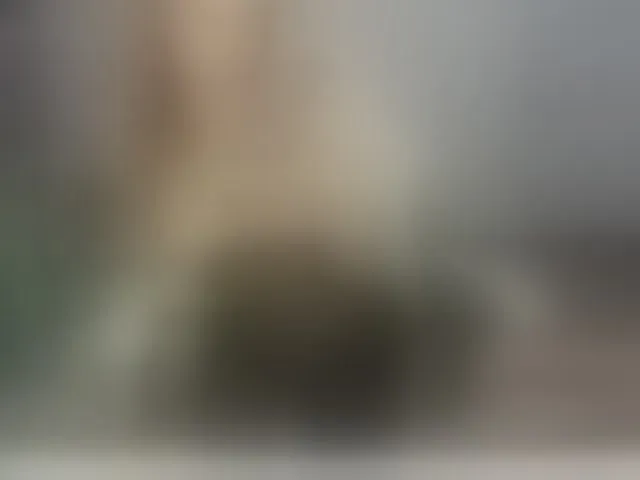 Live sex webcam photo for EvaLution5 #293808489