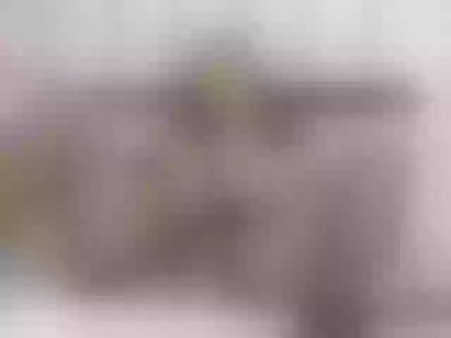 Live sex webcam photo for EvaReide #290441567