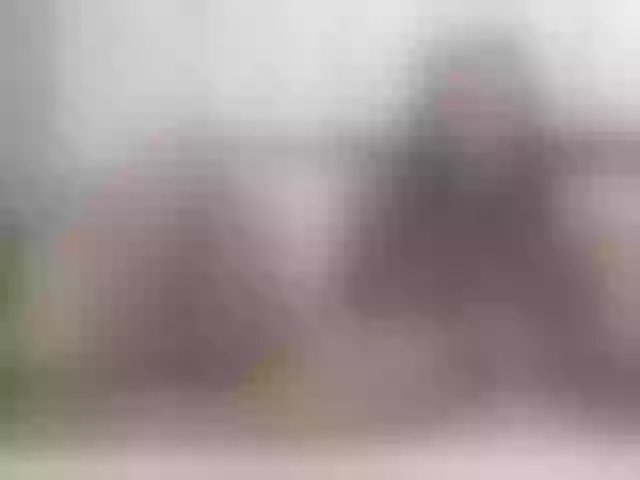 Live sex webcam photo for EvaReide #291522981