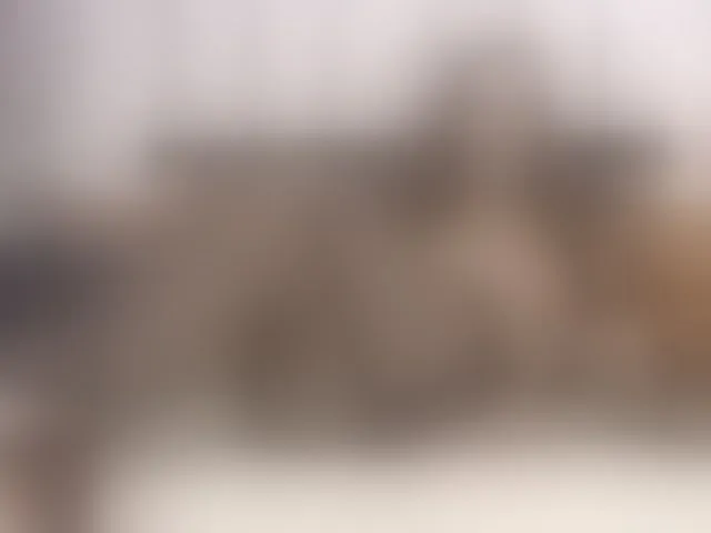 Live sex webcam photo for EvaReide #292384589