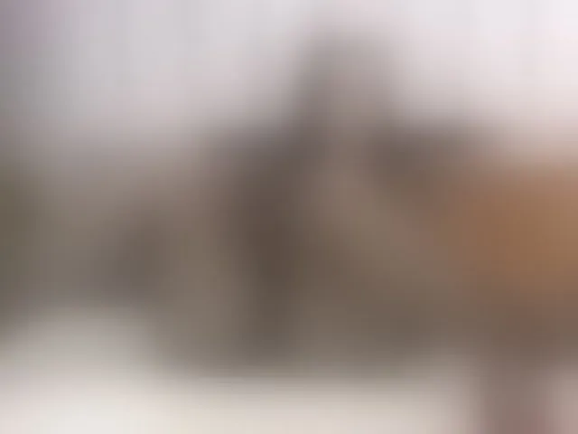Live sex webcam photo for EvaReide #293110975