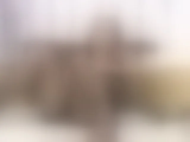 Live sex webcam photo for EvaReide #293970267