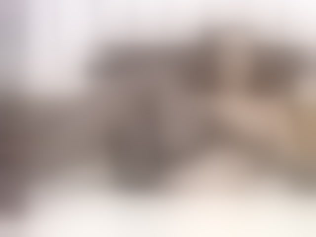 Live sex webcam photo for EvaReide #294113252