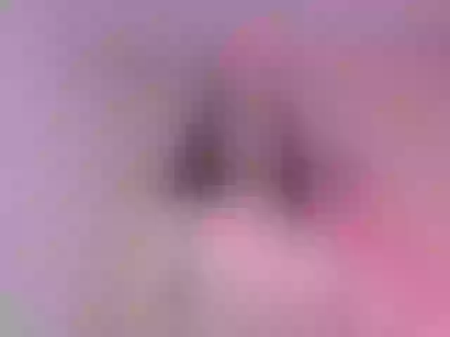 Live sex webcam photo for EvaSanto #272311646
