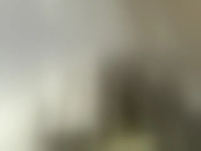 Live sex webcam photo for EvanShell1 #292567463