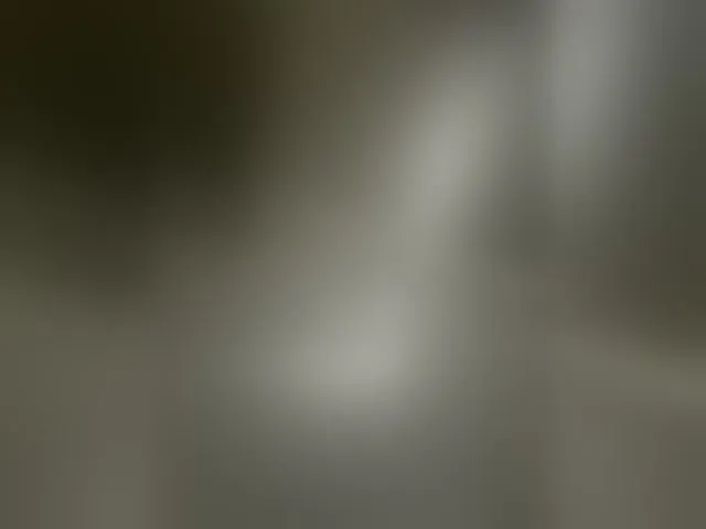 Live sex webcam photo for EvanShell1 #293360768