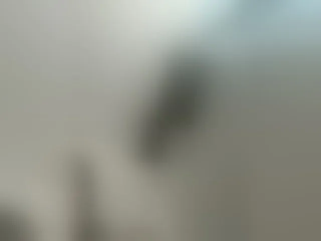 Live sex webcam photo for EvanShell1 #293422557