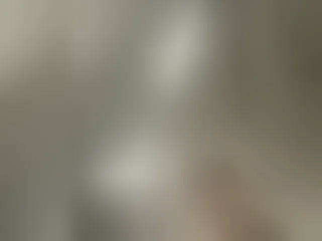 Live sex webcam photo for EvanShell1 #294043652