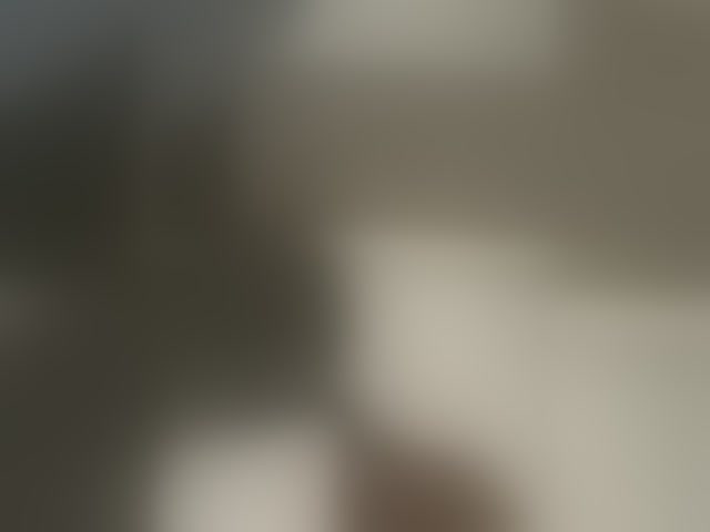 Live sex webcam photo for EvanShell1 #294087630