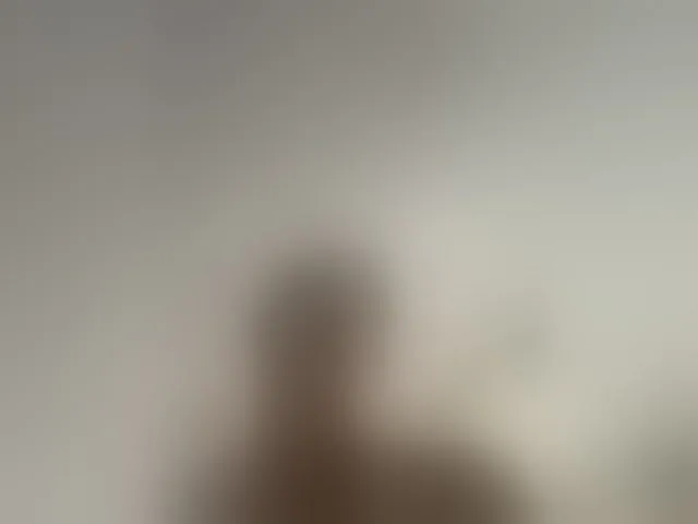 Live sex webcam photo for EvanShell1 #294132057