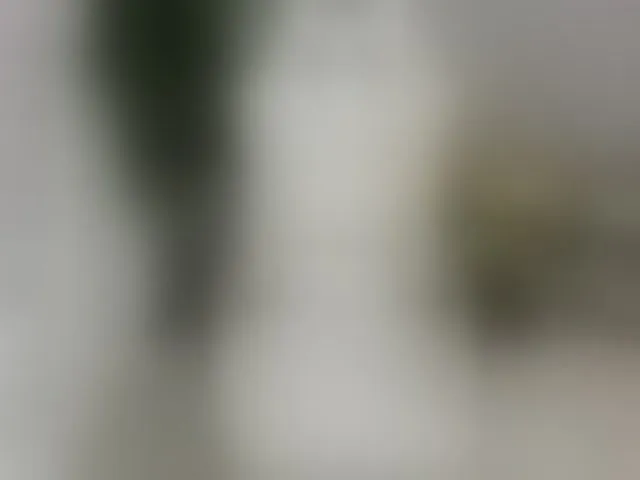 Live sex webcam photo for EveeEvian #293052330