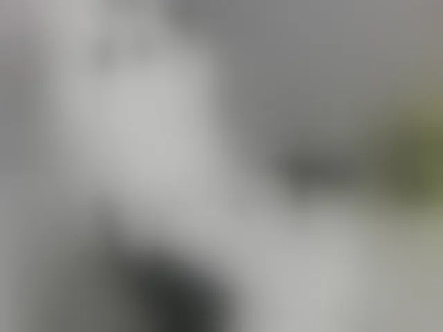 Live sex webcam photo for EveeEvian #293171613