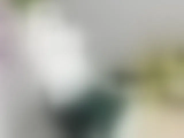 Live sex webcam photo for EveeEvian #293365536