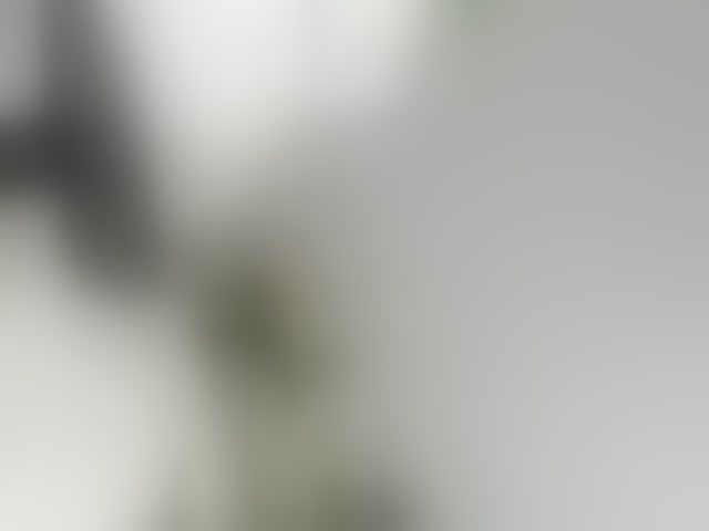 Live sex webcam photo for EveeEvian #293590440