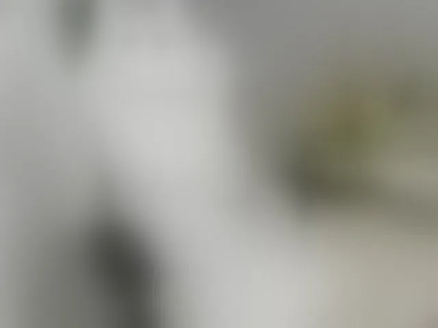Live sex webcam photo for EveeEvian #293591333