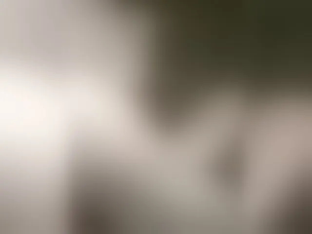 Live sex webcam photo for EvelinaPuro4kina114496 #292686863