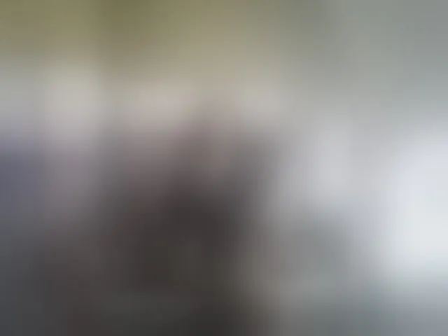 Live sex webcam photo for EvelinaPuro4kina114496 #293751317