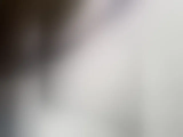 Live sex webcam photo for EvelinaPuro4kina114496 #293805494