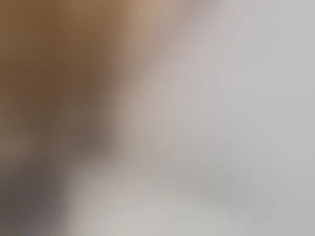 Live sex webcam photo for EvelinaPuro4kina114496 #293857965
