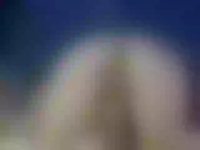 Live sex webcam photo for Evelisse #291290775