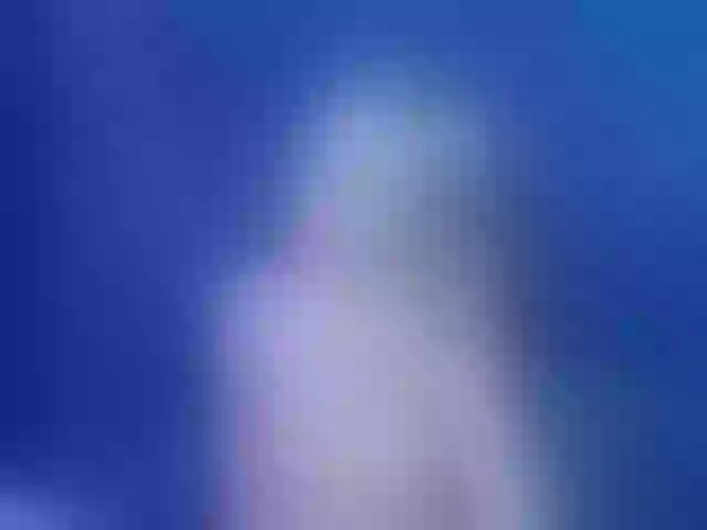 Live sex webcam photo for Evelisse #291668258