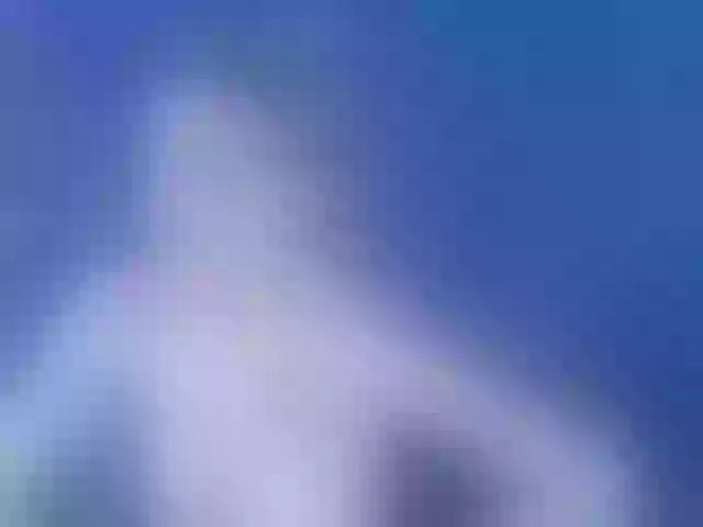 Live sex webcam photo for Evelisse #291777197
