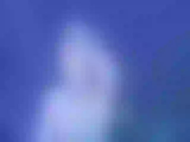 Live sex webcam photo for Evelisse #291822788