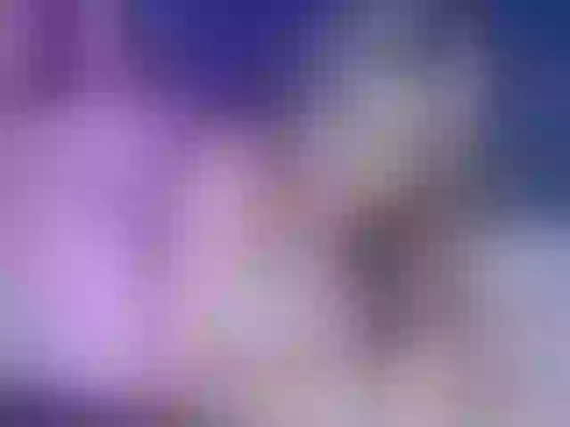 Live sex webcam photo for Evelisse #291836049