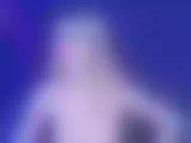 Live sex webcam photo for Evelisse #291980424