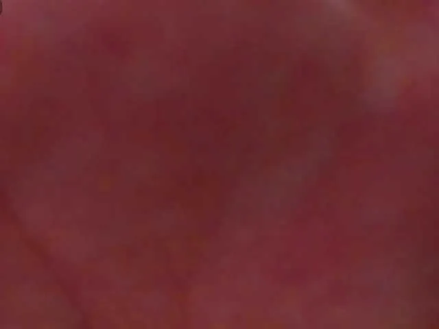 Live sex webcam photo for EvellyneReys #283188665
