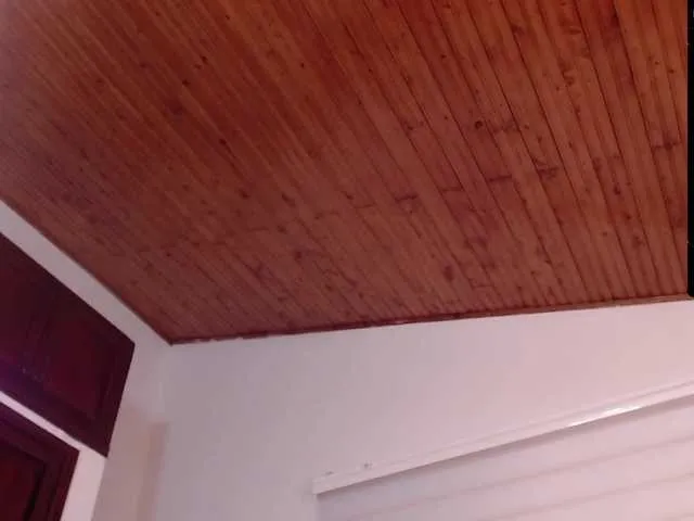 Live sex webcam photo for Evelyn-EE #271751683