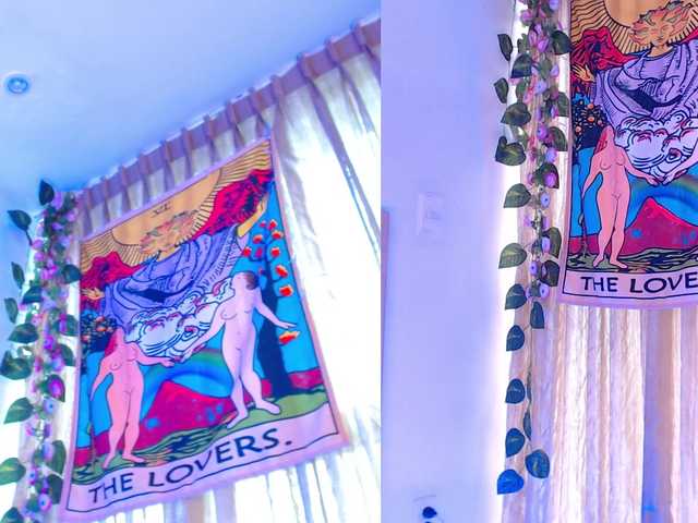 Live sex webcam photo for EverlyMoore #288066745