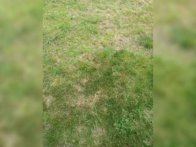 Live sex webcam photo for Evgeniy30real #291245679