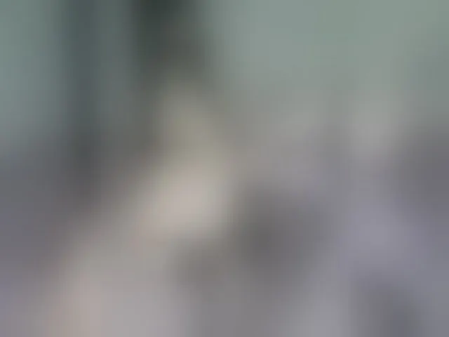 Live sex webcam photo for Evgesha-15 #292528700
