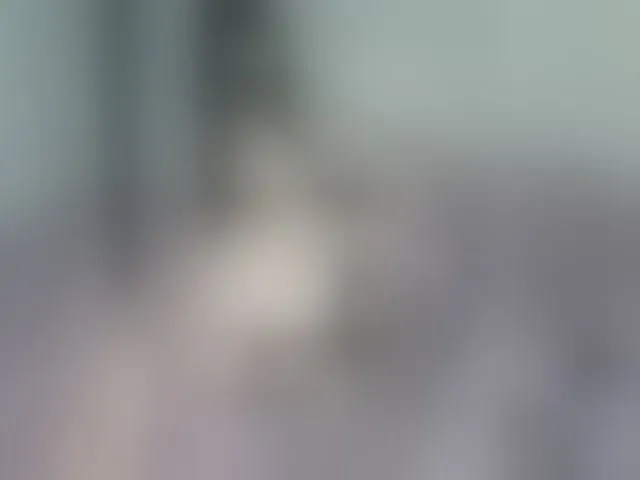 Live sex webcam photo for Evgesha-15 #293066626