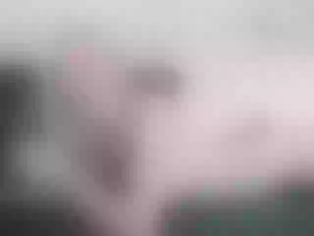 Live sex webcam photo for Evocative1 #275839122