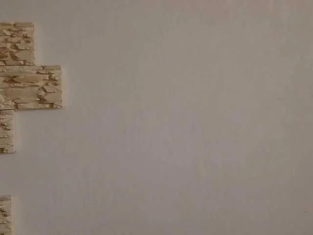 Live sex webcam photo for Evochka21 #290600918