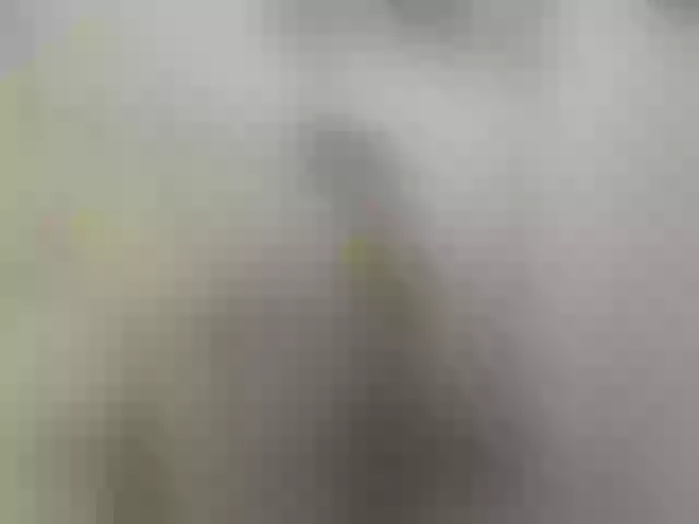 Live sex webcam photo for EwaBrown #292142021