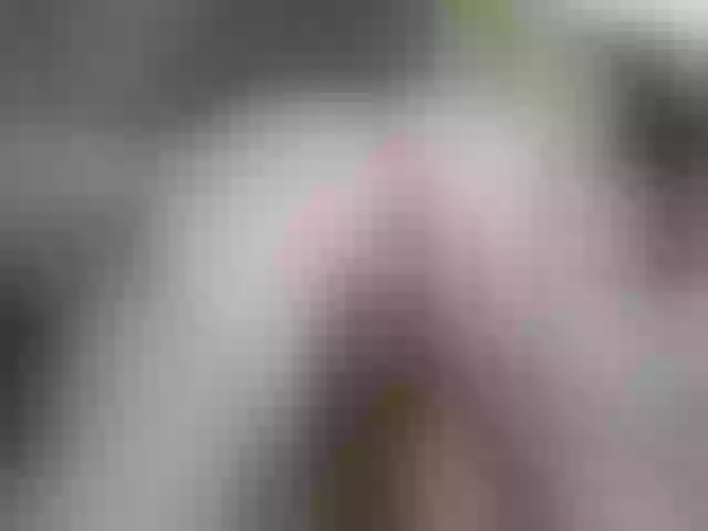 Live sex webcam photo for Ewameow #277299505