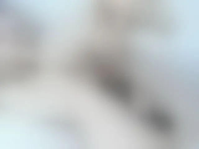 Live sex webcam photo for Excited-Blizzard #293621688