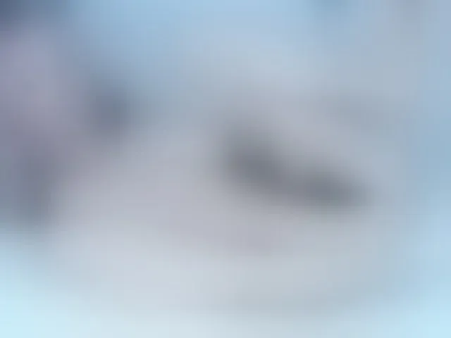 Live sex webcam photo for Excited-Blizzard #293977415