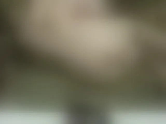 Live sex webcam photo for Ezhov2023 #275925521