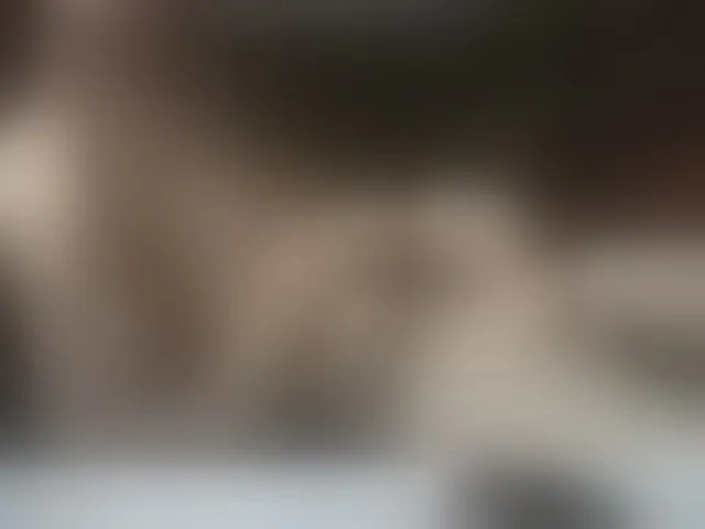 Live sex webcam photo for Ezhov2023 #275941186