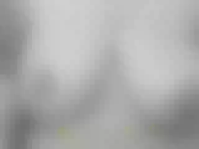 Live sex webcam photo for Fabiana-the-cat #290945305