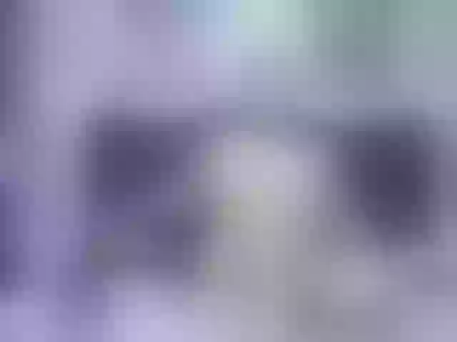 Live sex webcam photo for Fabiana-the-cat #290984277