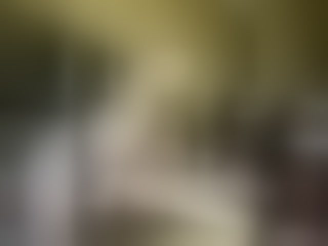 Live sex webcam photo for Fack-7 #294196632