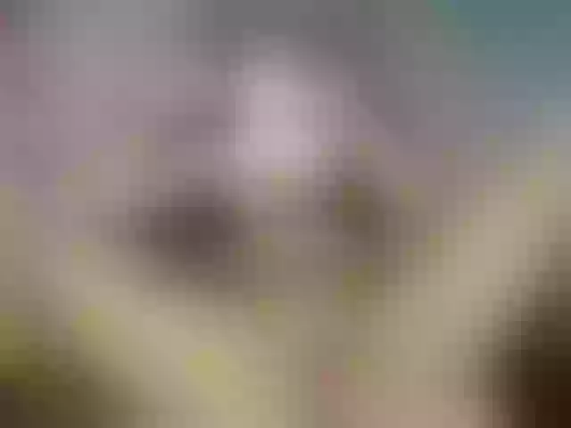 Live sex webcam photo for FalakYasin #290686019