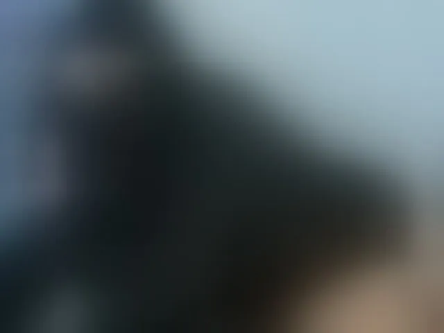 Live sex webcam photo for FalakYasin #293562516