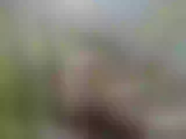Live sex webcam photo for Falos39 #291923862