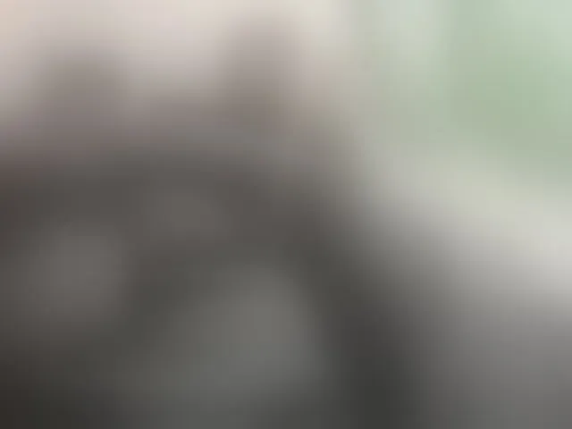 Live sex webcam photo for Falos39 #292689252